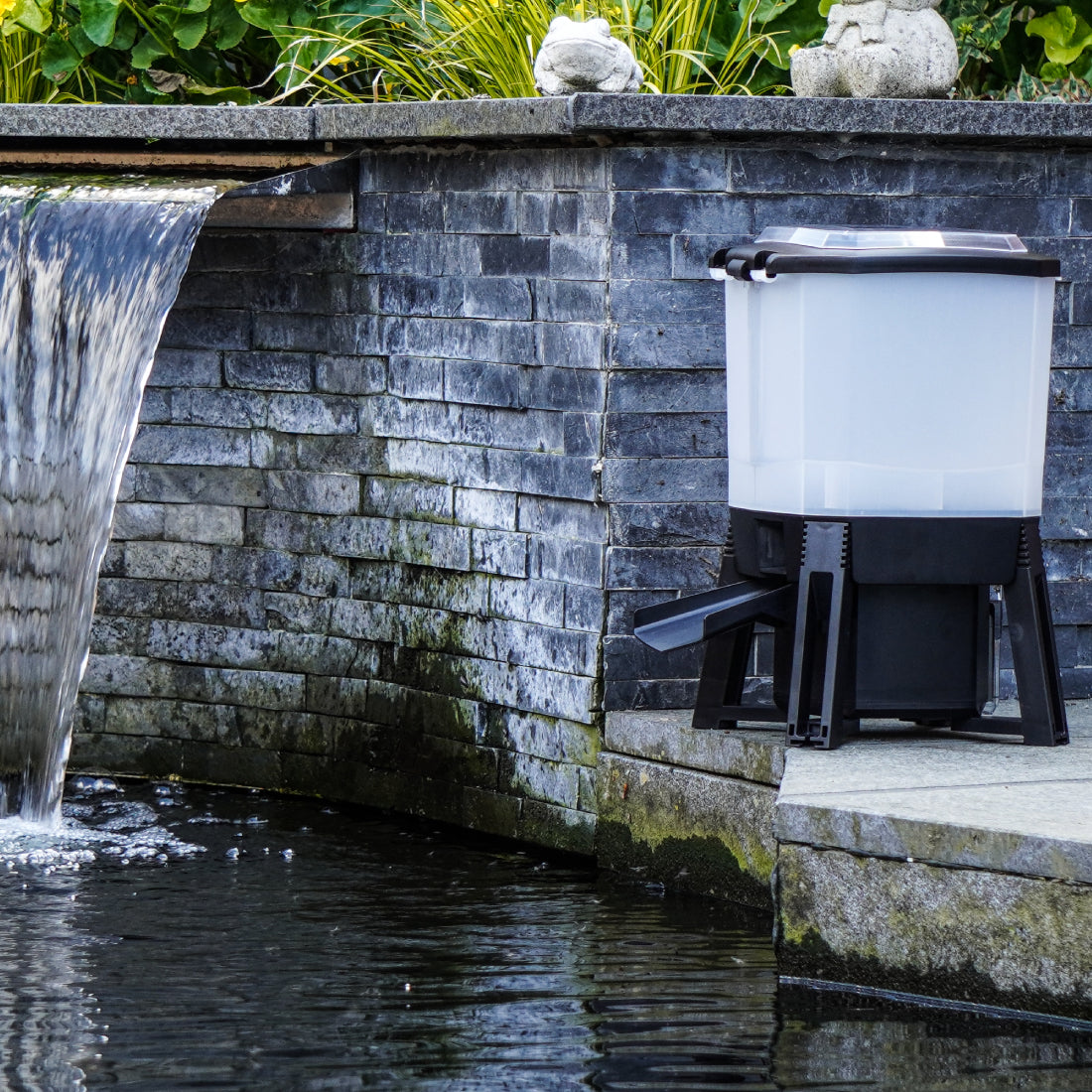 Installatie BluFeeder automatische visvoeder op zonne-energie voederautomaat langs de kant van de vijver.